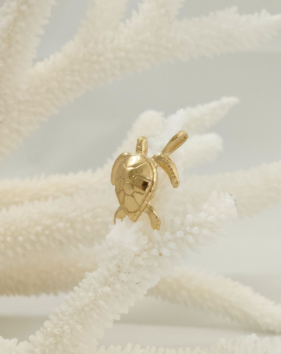 The Hidden Meanings of Turtle Symbolism in Design & Nature - Kaikoa Designs The Hidden Meanings of Turtle Symbolism in Design & Nature - Kaikoa Designs