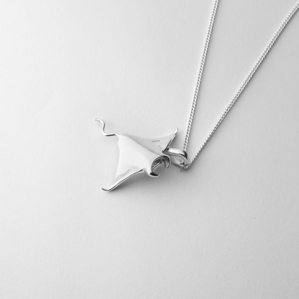 Medium Manta Ray