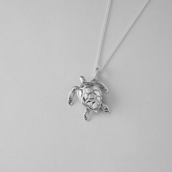 Medium Turtle