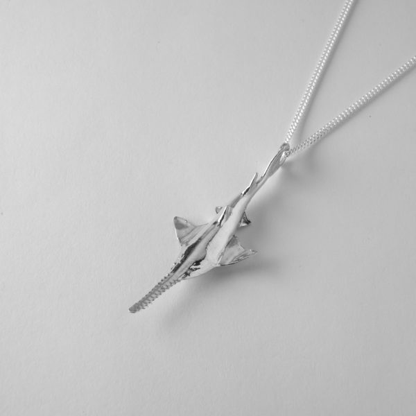 Sawfish