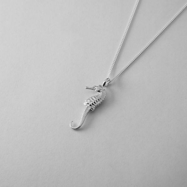 Small Seahorse