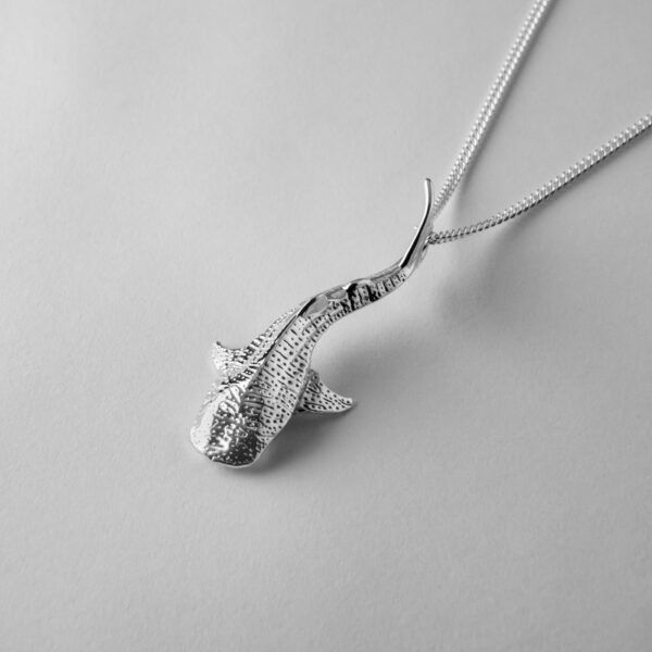 Small Whale Shark